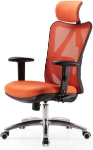 SIHOO M18 è una sedia girevole che le opinioni degli utenti definiscono come “il massimo dell’ergonomia”.