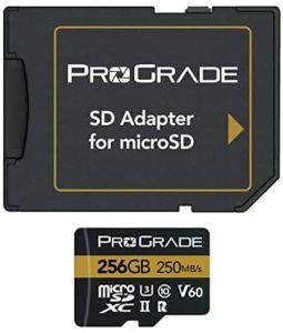 La micro SD ProGrade microSD V60, nonostante abbia una capienza di 256 gigabyte, risulta più costosa rispetto ad altri modelli più capienti della nostra analisi comparativa.