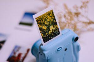 Istantanea di fiori gialli con macchina fotografica azzurra